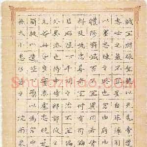 沈雨泉(少儿组 9岁)硬笔书法大赛 入围作品选登图片欣赏