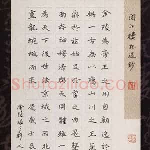 陆从法 硬笔硬笔楷书作品《阅江楼记选抄》图片欣赏