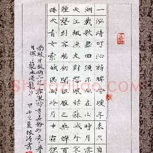 李振涛(少儿组 12岁 银奖)硬笔书法大赛 获奖作品图片欣赏