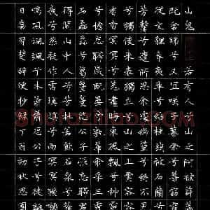 成思园(成人组 优秀奖)硬笔书法大赛 获奖作品图片欣赏