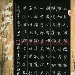 冯阳颐 硬笔隶书作品《古诗三首》图片欣赏