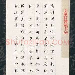 叶翛然(少儿组 10岁)硬笔书法大赛 入围作品选登图片欣赏
