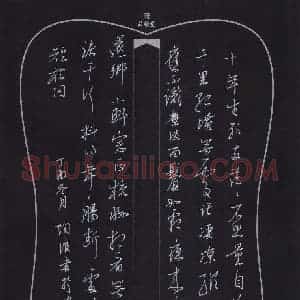 陶浪 硬笔行书作品《苏东坡词一首》图片欣赏