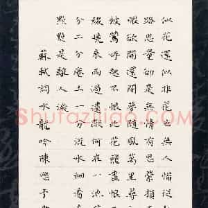 陈利军 硬笔楷书作品《苏轼词水龙吟》图片欣赏