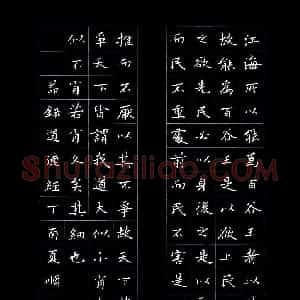 李顺自(成人组 优秀奖)硬笔书法大赛 获奖作品图片欣赏