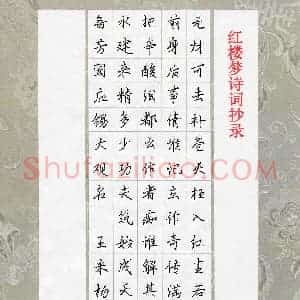 王米杨(少儿组 13岁)硬笔书法大赛 入围作品选登图片欣赏