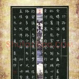 袁婧(少儿组 16岁)硬笔书法大赛 入围作品选登图片欣赏