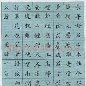 蔡新 硬笔楷书作品《王建诗一首》图片欣赏