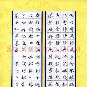 王筱茹 硬笔楷书作品《宋词二首》图片欣赏