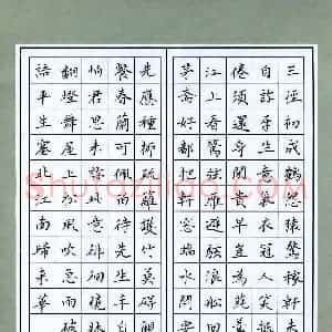 王筱茹 硬笔楷书作品《辛弃疾词二首》图片欣赏