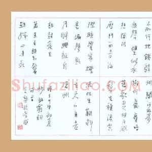 陆舍无 硬笔行书作品《放翁词两首》图片欣赏