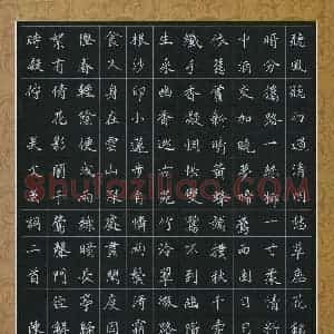 陈贤(成人组 优秀奖)硬笔书法大赛 获奖作品图片欣赏