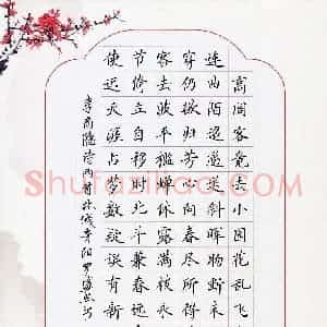 罗盛照(成人组 优秀奖)硬笔书法大赛 获奖作品图片欣赏