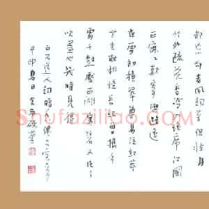 陆舍无 硬笔行书作品《白石道人词》图片欣赏