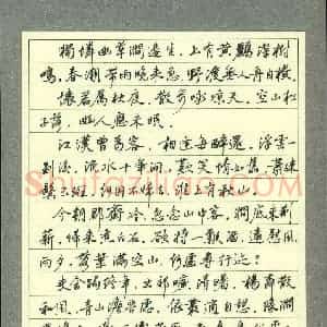 任建娥 硬笔行书作品《韦应物诗五首》图片欣赏