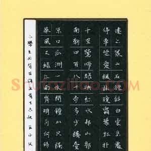 王小汶(少儿组 14岁)硬笔书法大赛 入围作品选登图片欣赏