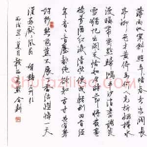 欧阳荷庚 硬笔行书作品《贺铸石州引》图片欣赏