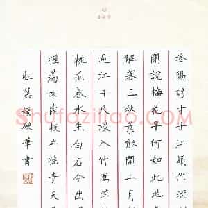 彭慧媛(少儿组 11岁)硬笔书法大赛 入围作品选登图片欣赏