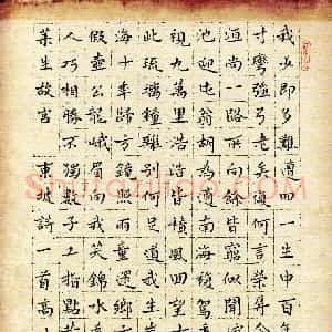 硬笔楷书作品《东坡诗一首》图片欣赏