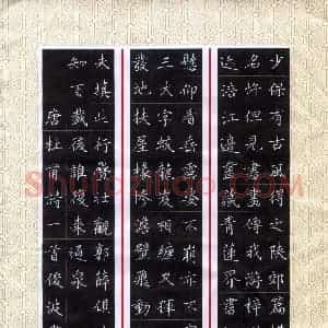 隋俊波(成人组 银奖)硬笔书法大赛 获奖作品图片欣赏