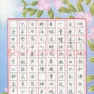 汪静蕊(少儿组 9岁)硬笔书法大赛 入围作品选登图片欣赏