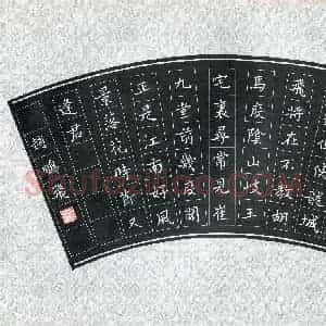 赵鹏飞(少儿组 11岁)硬笔书法大赛 入围作品选登图片欣赏