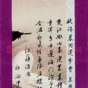 邵泳中 硬笔行书作品《韦应物诗赋得暮雨送李曹》图片欣赏