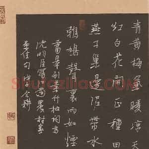 欧阳荷庚 硬笔行书作品《沈明臣竹枝词》图片欣赏