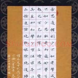张旗 硬笔楷书作品《孙过庭书谱节录》图片欣赏