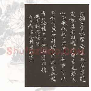 欧阳荷庚 硬笔楷书作品《张先词惜琼花》图片欣赏