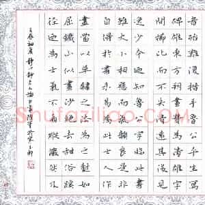 张旗 硬笔楷书作品《苏轼论书选抄》图片欣赏