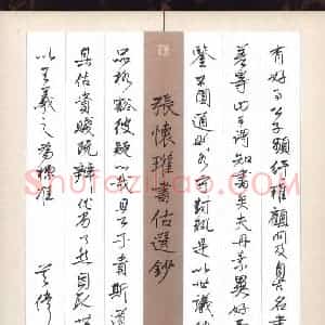 吴伟 硬笔行书作品《张怀瓘书估选抄》图片欣赏