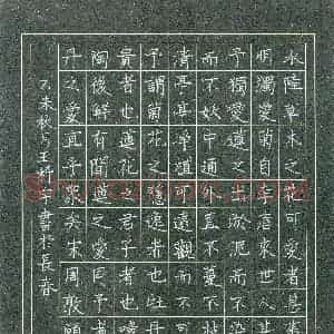 王科宇(少儿组 10岁)硬笔书法大赛 入围作品选登图片欣赏