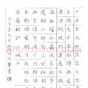 刘正江 硬笔楷书作品《苏轼词江城子》图片欣赏