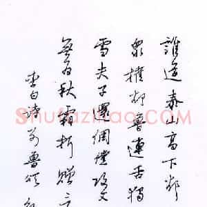 邵泳中 硬笔行书作品《李白诗别鲁颂》图片欣赏