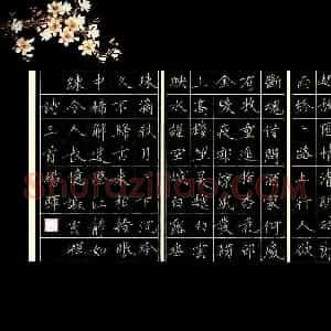 杨晖(成人组 优秀奖)硬笔书法大赛 获奖作品图片欣赏