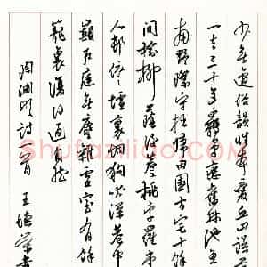 王德荣硬笔行书陶渊明诗一首  硬笔作品图片欣赏下载