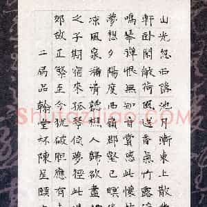 陈星颐(少儿组 10岁)硬笔书法大赛 入围作品选登图片欣赏