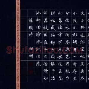 文祖明 硬笔楷书作品《陈瑸诗》图片欣赏