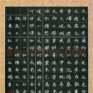 王康鹏(少儿组 15岁 铜奖)硬笔书法大赛 获奖作品图片欣赏
