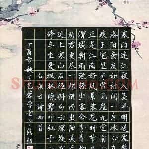 王艺蓉(少儿组 15岁 铜奖)硬笔书法大赛 获奖作品图片欣赏