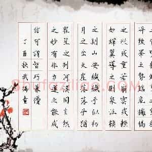 武瑞童(少儿组 13岁 铜奖)硬笔书法大赛 获奖作品图片欣赏