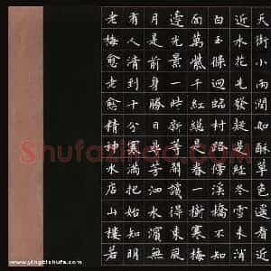 文祖明 硬笔楷书作品《古诗十六首》图片欣赏