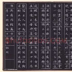 文祖明 硬笔楷书作品《李白诗将进酒》图片欣赏