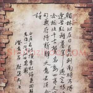 欧阳荷庚 硬笔行书作品《白居易诗读李杜诗集因题卷后一首》图片欣赏