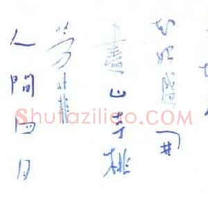 曾如影 硬笔行草作品《白居易诗》图片欣赏