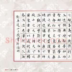刘卓远(少儿组 13岁 铜奖)硬笔书法大赛 获奖作品图片欣赏