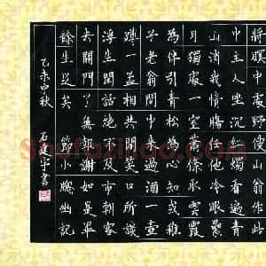 石建宇(少儿组 13岁)硬笔书法大赛 入围作品选登图片欣赏