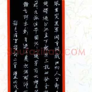 顾敏 硬笔行书作品《毛泽东诗词二首》图片欣赏