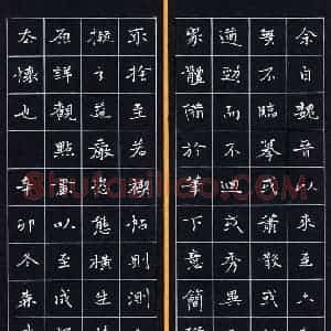 杨森武 硬笔硬笔楷书作品《书论》图片欣赏